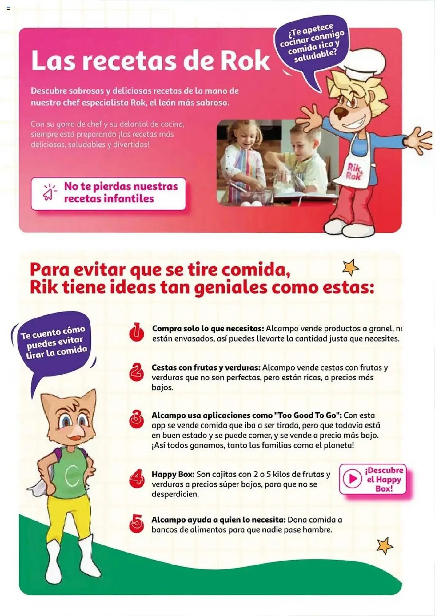 Catálogo de Folleto Alcampo 17 de junio al 30 de junio 2025 - Página 13