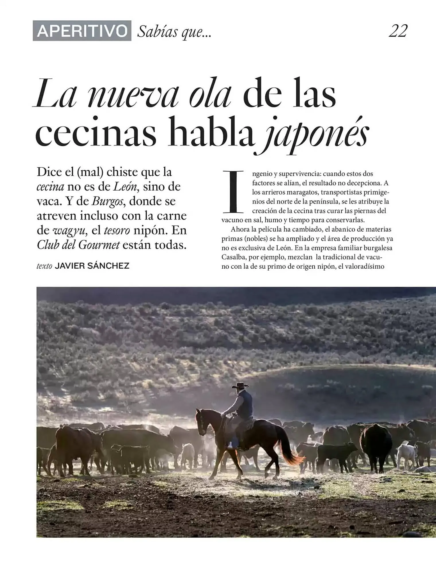 Catálogo de Folleto El Corte Inglés 1 de abril al 30 de junio 2025 - Página 22