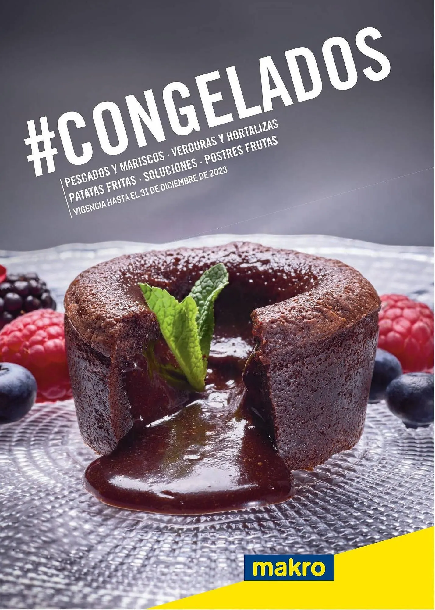 Catálogo de Folleto Makro 17 de mayo al 31 de diciembre 2023 - Página 1