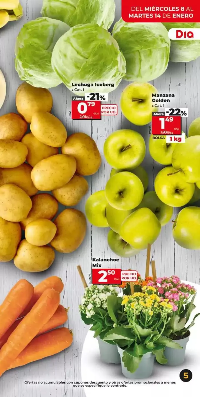 Catálogo de Gran apertura Dia del 8 al 14 de enero 8 de enero al 14 de enero 2025 - Página 5