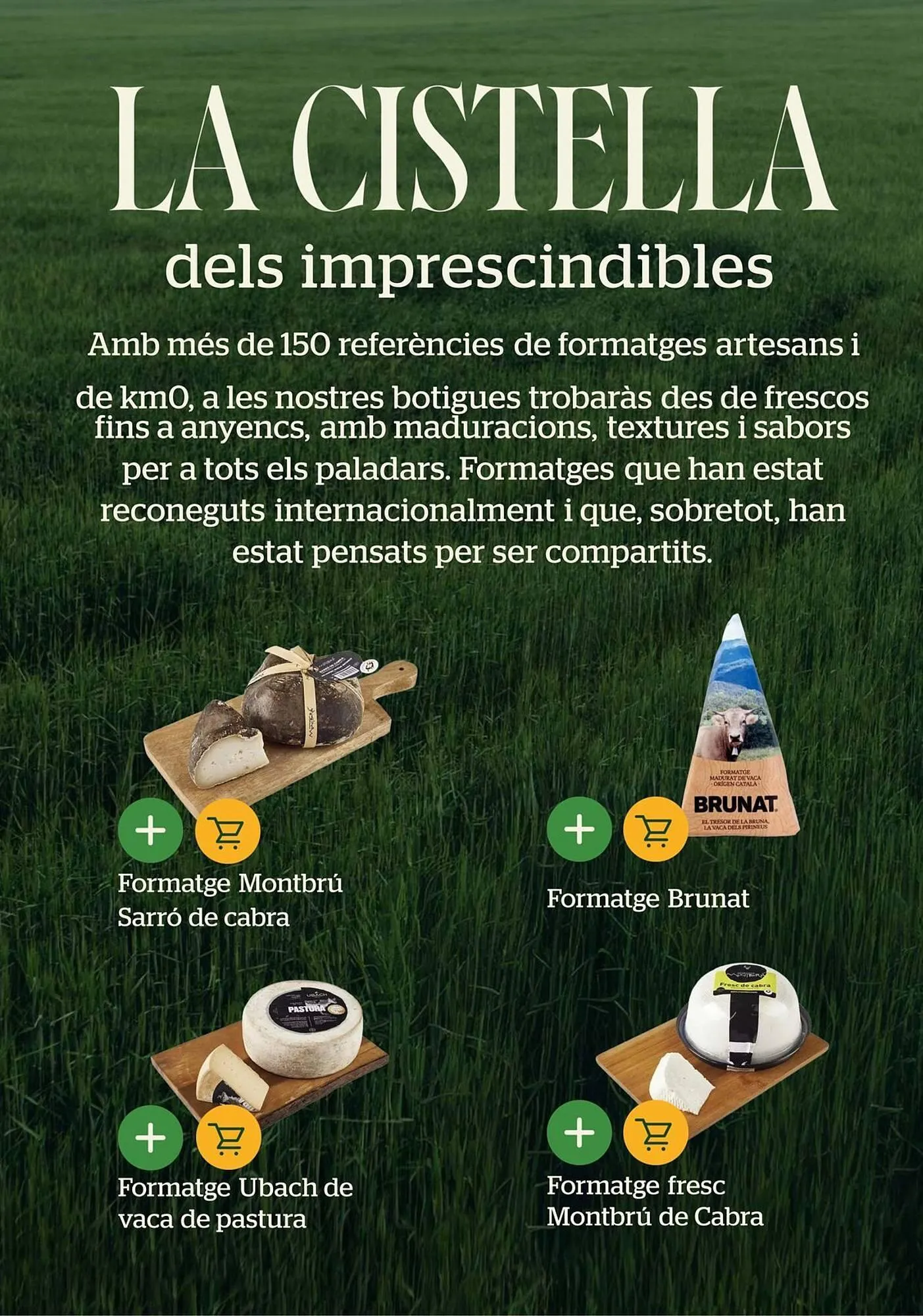 Catálogo de Folleto BonpreuEsclat 30 de enero al 30 de junio 2026 - Página 32