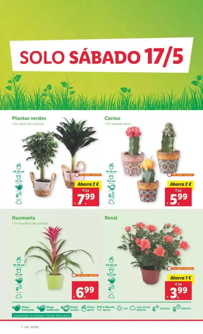 Catálogo de № 1 PRECIO - Ofertas válidas del 12/05 al 18/05 12 de mayo al 18 de mayo 2025 - Página 30