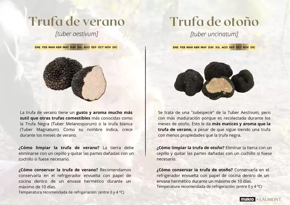 Catálogo de GUIA DE TRUFAS Y SETAS MAKRO - MAKRO 31 de diciembre al 14 de enero 2025 - Página 5