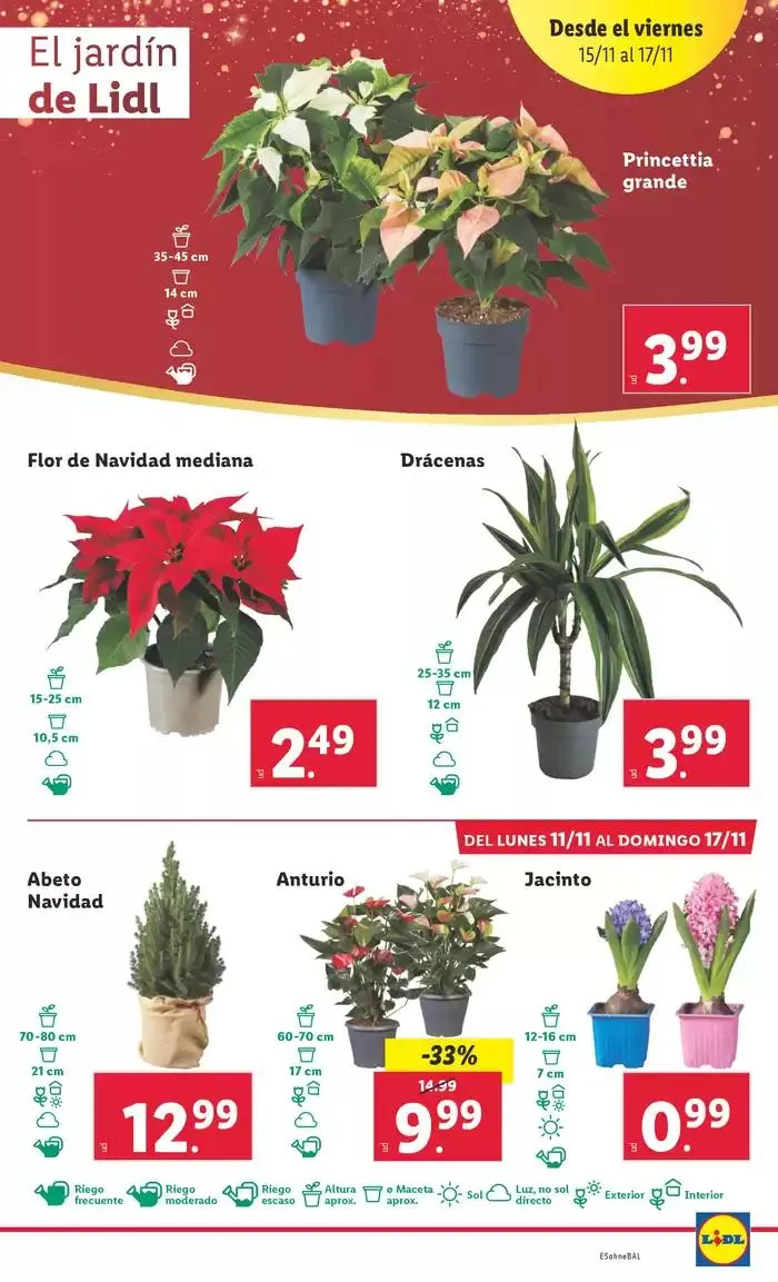 Catálogo de № 1 PRECIO 11 de noviembre al 17 de noviembre 2024 - Página 51