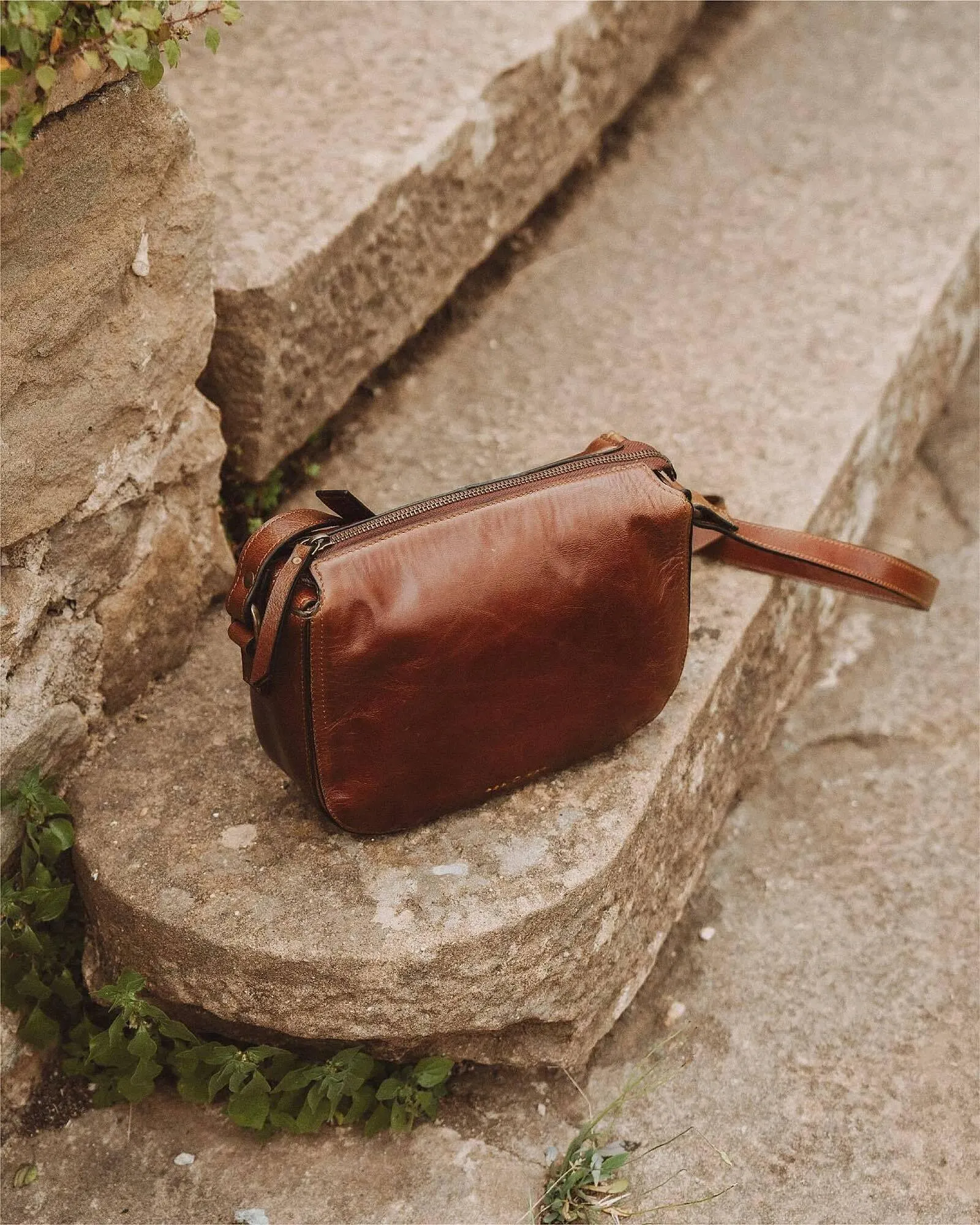 Catálogo de Folleto ese O ese 29 de octubre al 30 de noviembre 2024 - Página 1