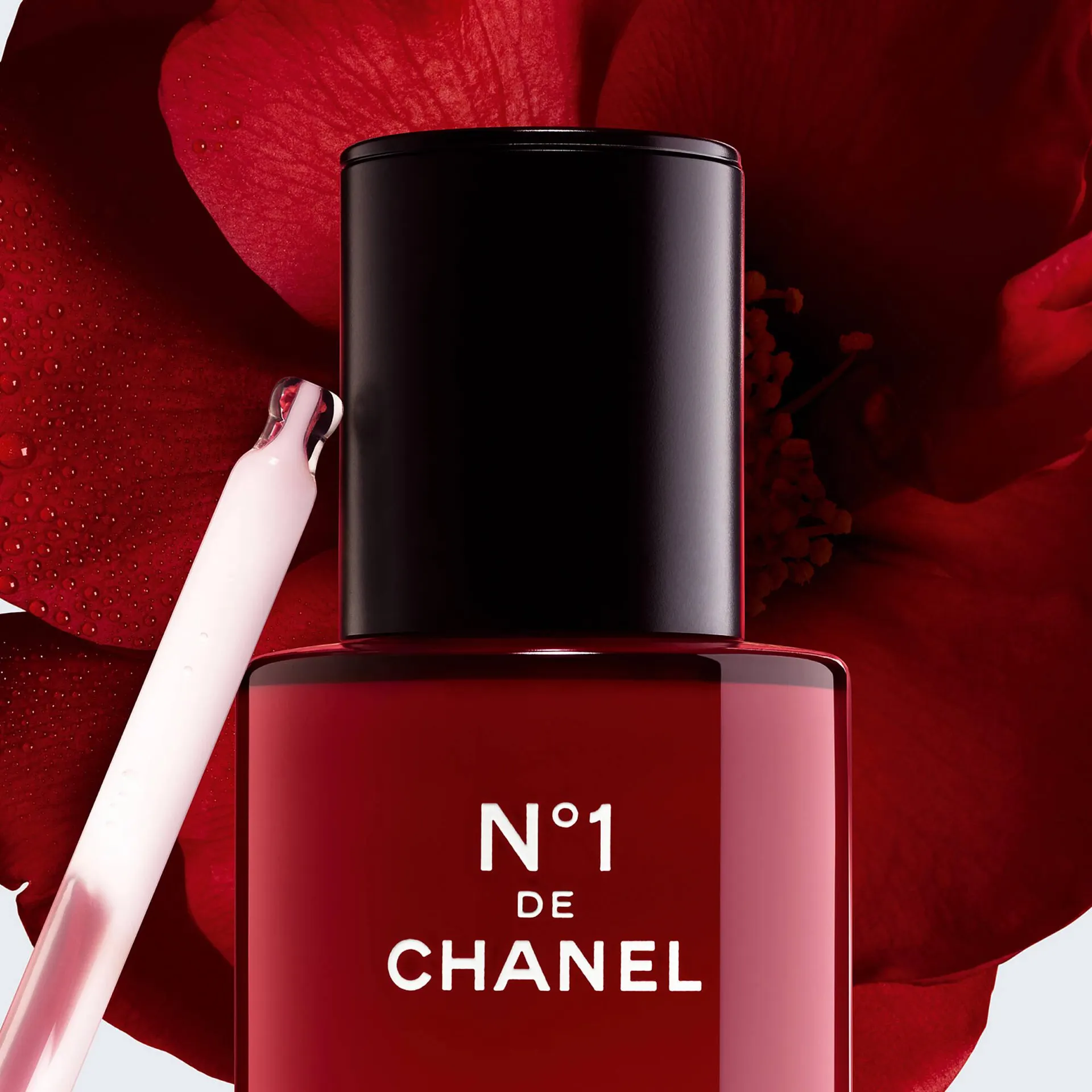 Catálogo de Folleto Chanel 2 de julio al 30 de agosto 2025 - Página 3