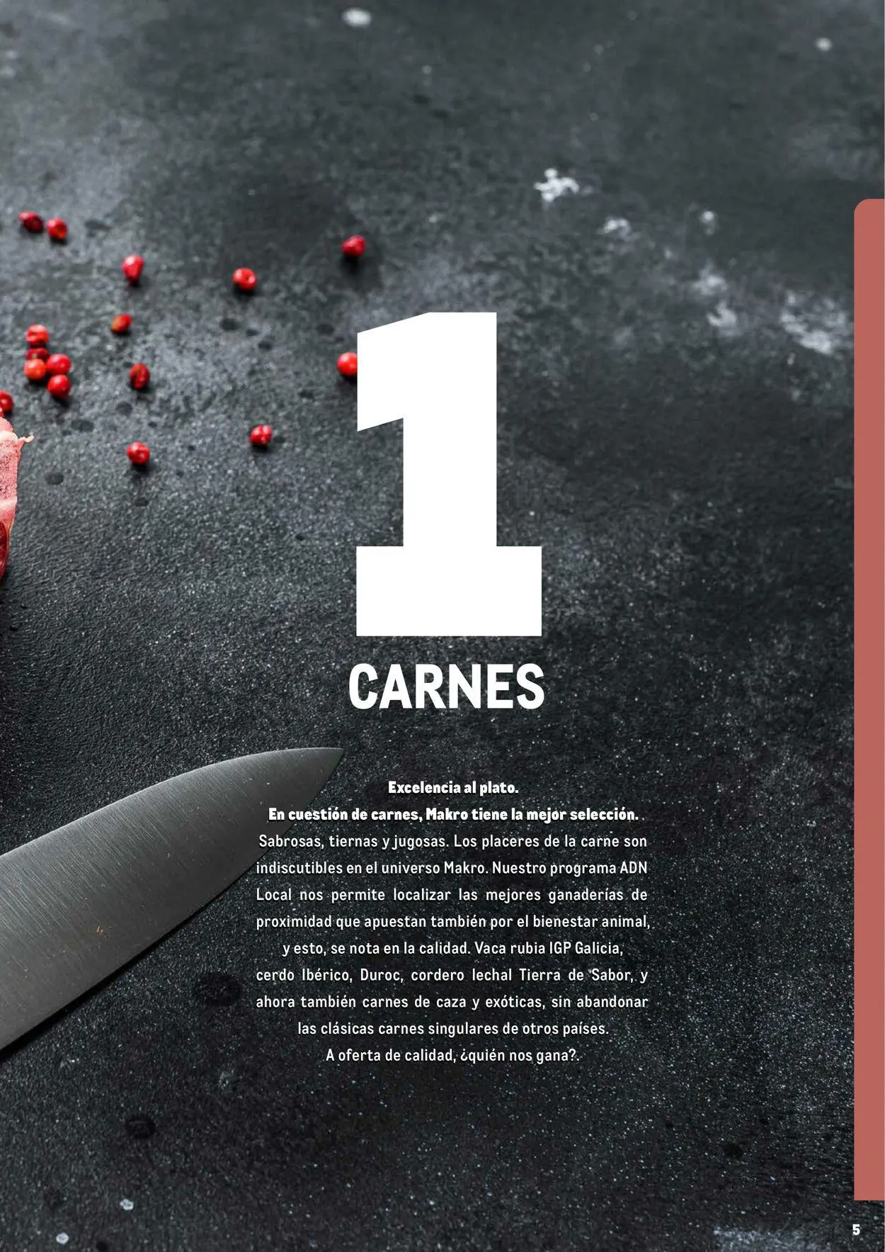 Catálogo de Makro Oferta actual 7 de julio al 31 de diciembre 2023 - Página 5