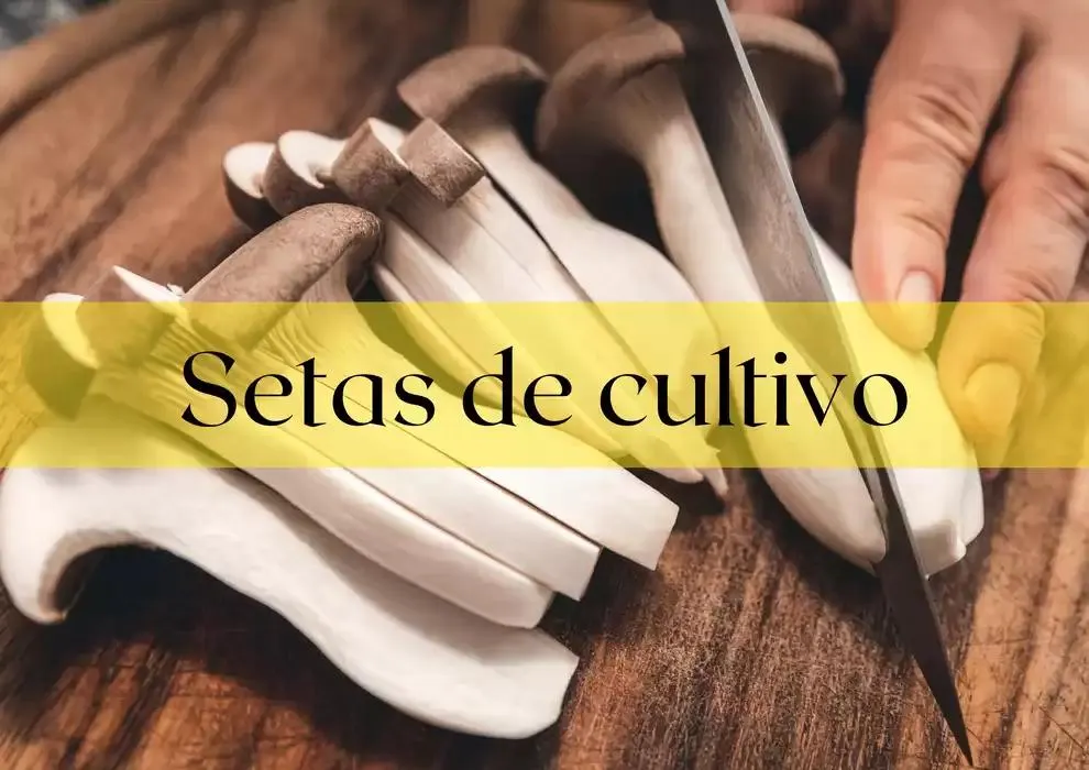 Catálogo de GUIA DE TRUFAS Y SETAS MAKRO - MAKRO 31 de diciembre al 14 de enero 2025 - Página 12