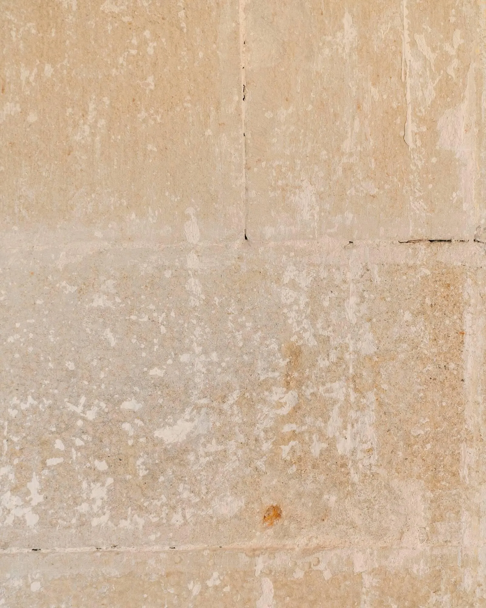 Catálogo de Folleto ese O ese 21 de febrero al 5 de abril 2025 - Página 5