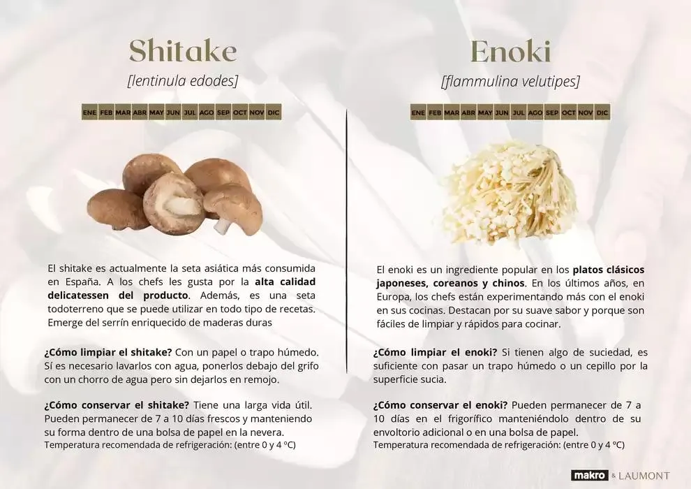 Catálogo de GUIA DE TRUFAS Y SETAS MAKRO - MAKRO 31 de diciembre al 14 de enero 2025 - Página 13