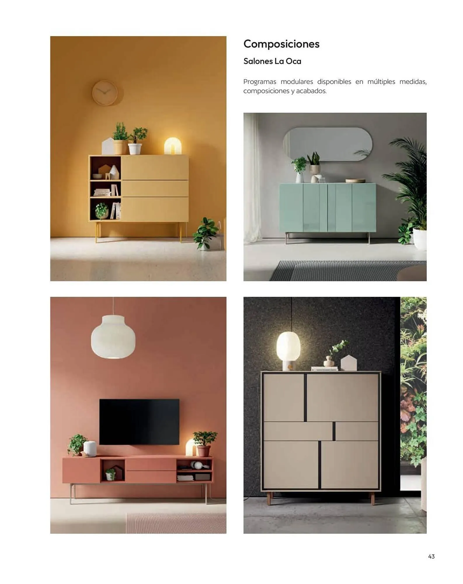 Catálogo de Catálogo La Oca 21 de enero al 31 de diciembre 2026 - Página 43