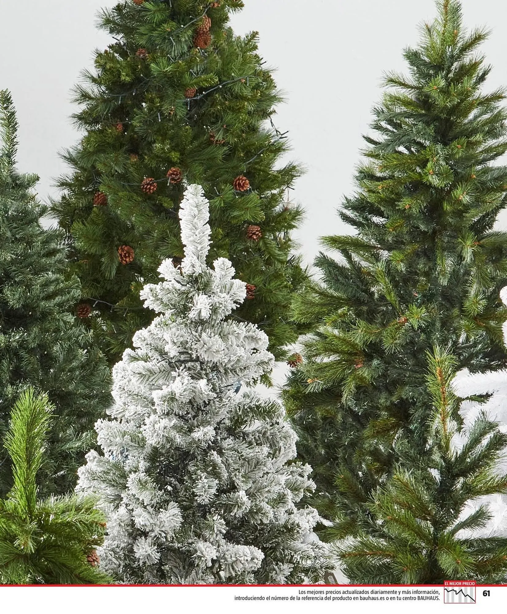 Catálogo de Folleto Bauhaus 30 de octubre al 23 de diciembre 2023 - Página 61