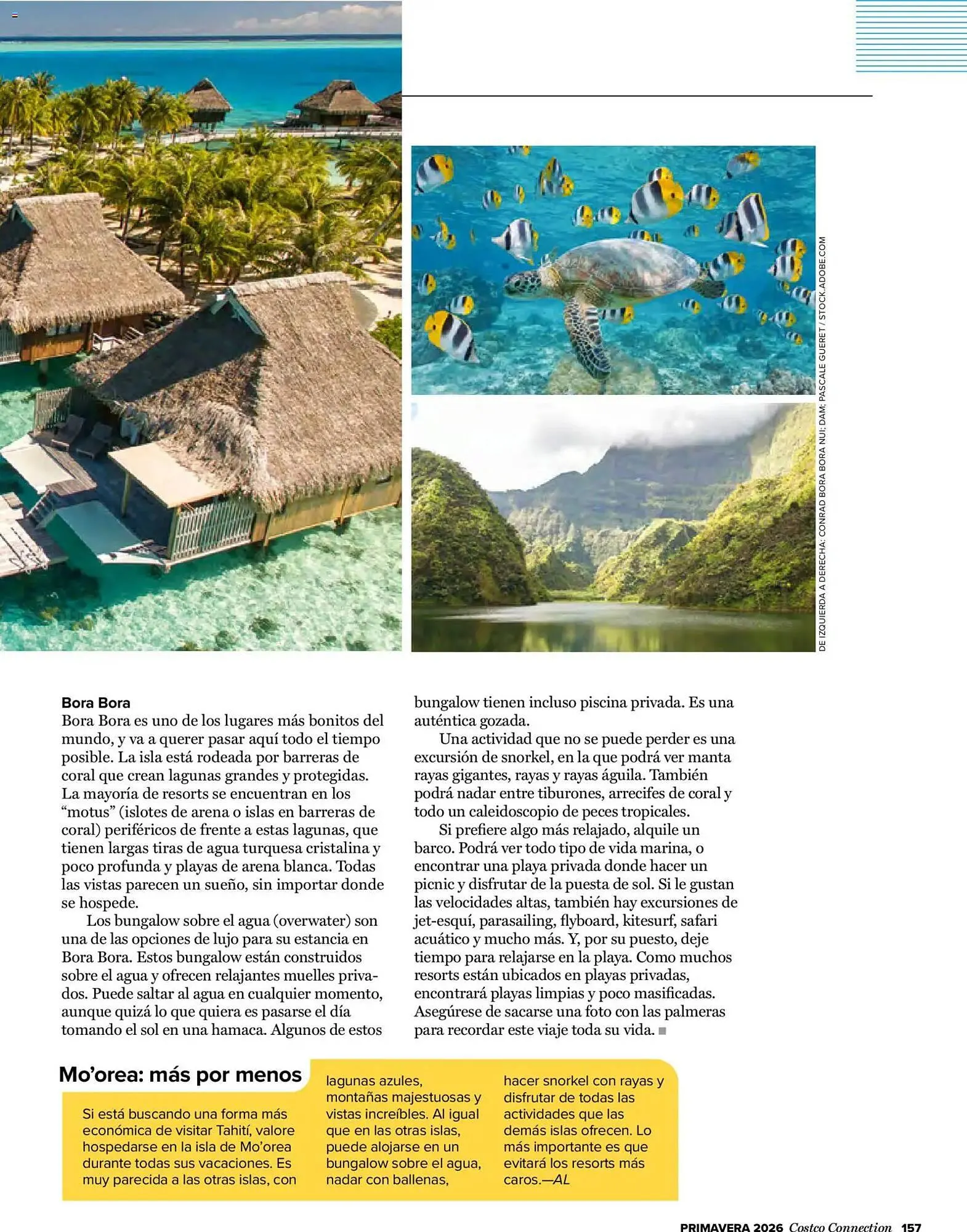 Catálogo de Catálogo Costco 19 de marzo al 31 de mayo 2026 - Página 157