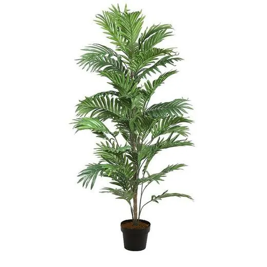 Areca grande 122cm