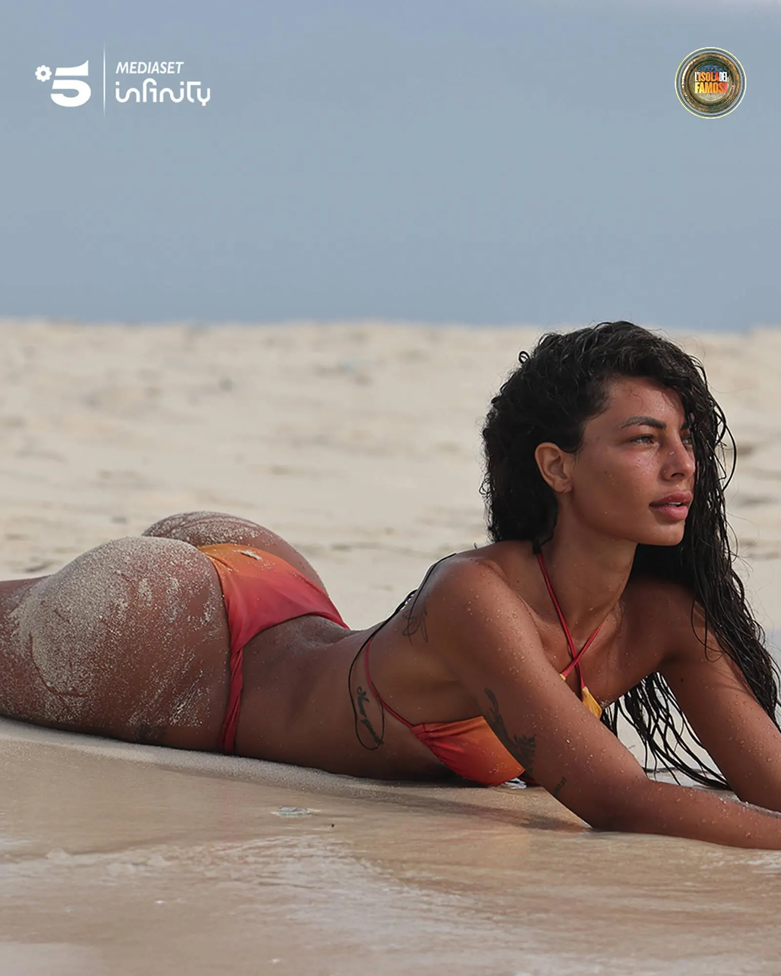 Catálogo de Folleto Terranova 26 de junio al 9 de julio 2025 - Página 1