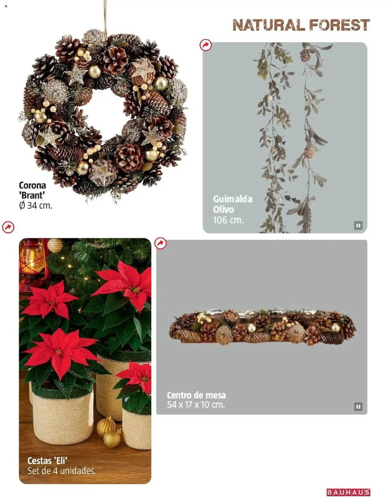 Catálogo de Catálogo Bauhaus 5 de noviembre al 24 de diciembre 2025 - Página 21