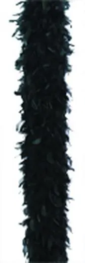 Boa pluma negra