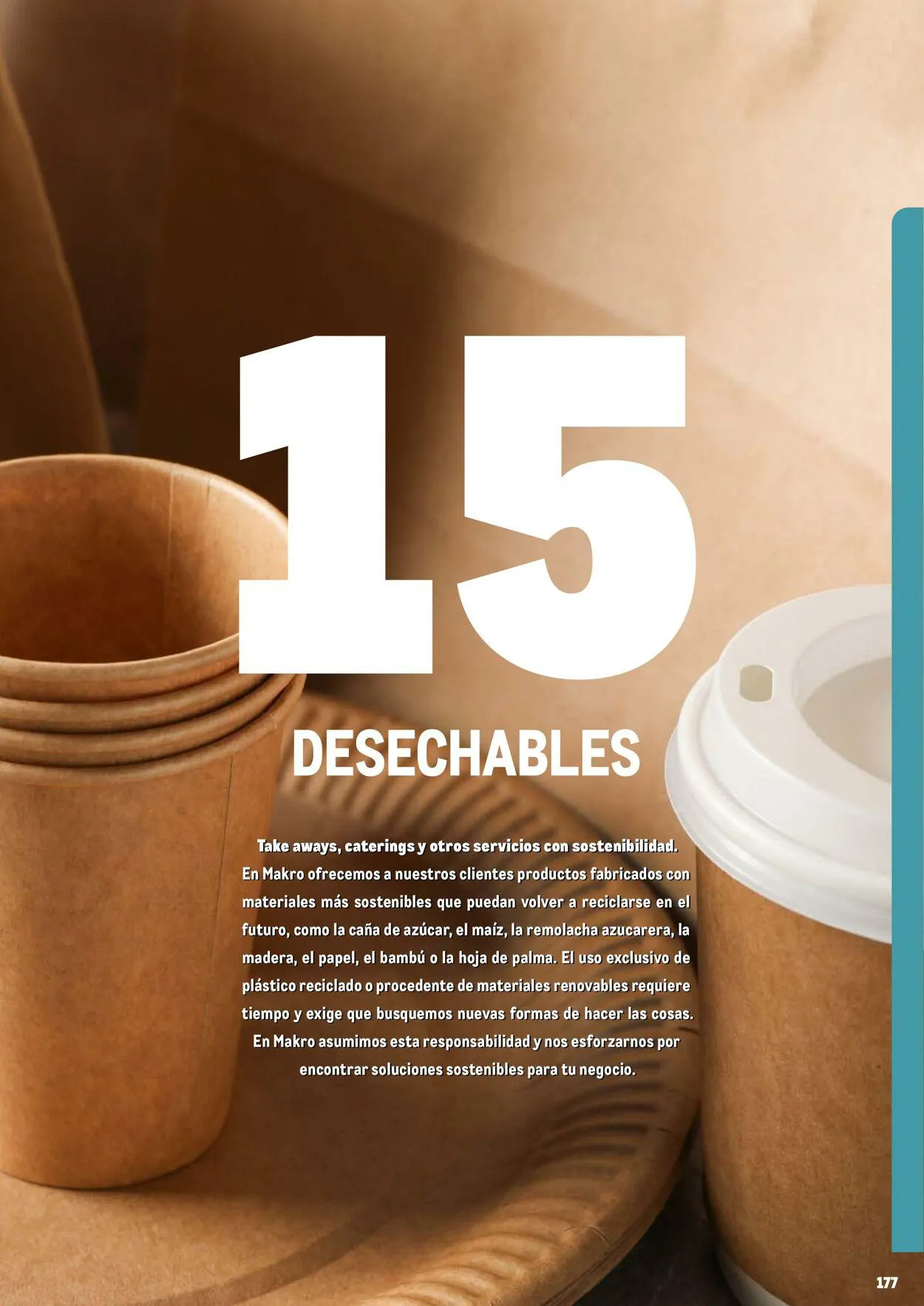 Catálogo de Makro Oferta actual 7 de julio al 31 de diciembre 2023 - Página 177