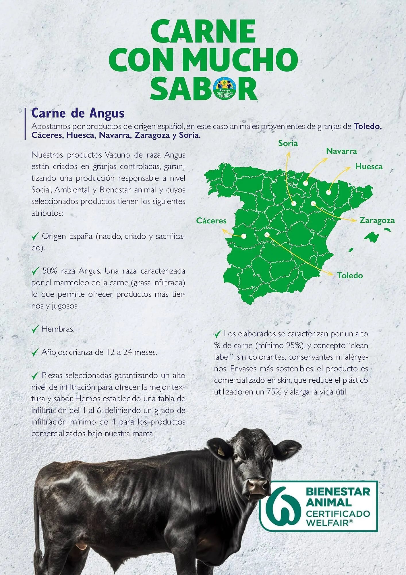 Catálogo de Folleto Alcampo 23 de abril al 31 de diciembre 2025 - Página 8