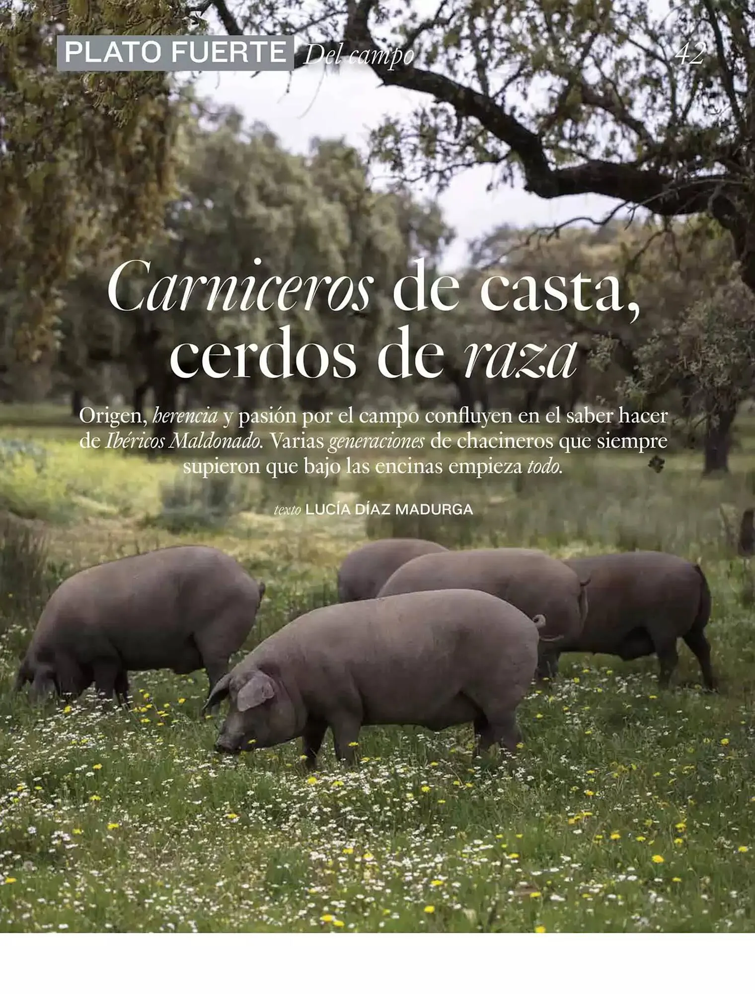 Catálogo de Folleto El Corte Inglés 1 de abril al 30 de junio 2025 - Página 42