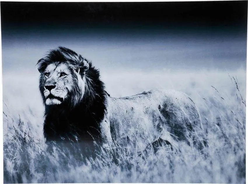 Cuadro cristal Lion King Standing 120x160cm