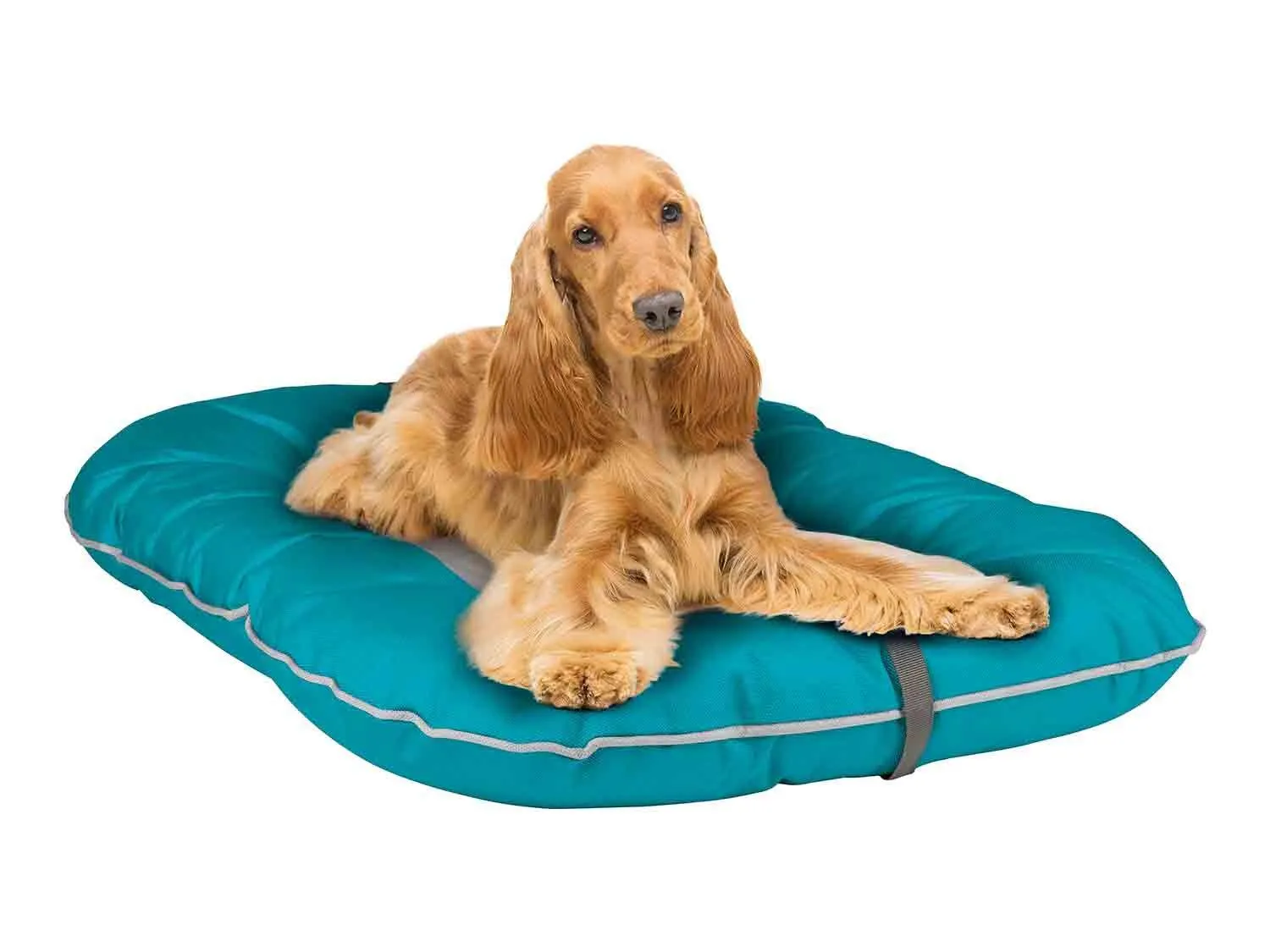 Cama de exteriores para perro