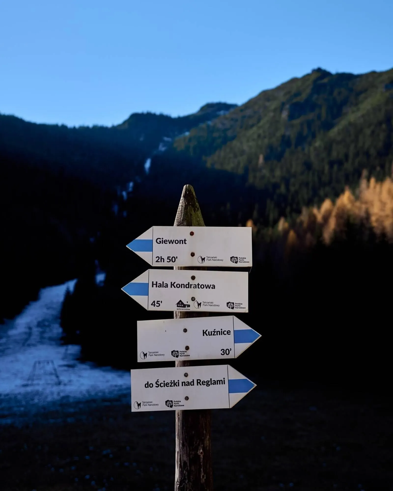 Catálogo de Folleto Napapijri 7 de diciembre al 13 de diciembre 2025 - Página 3