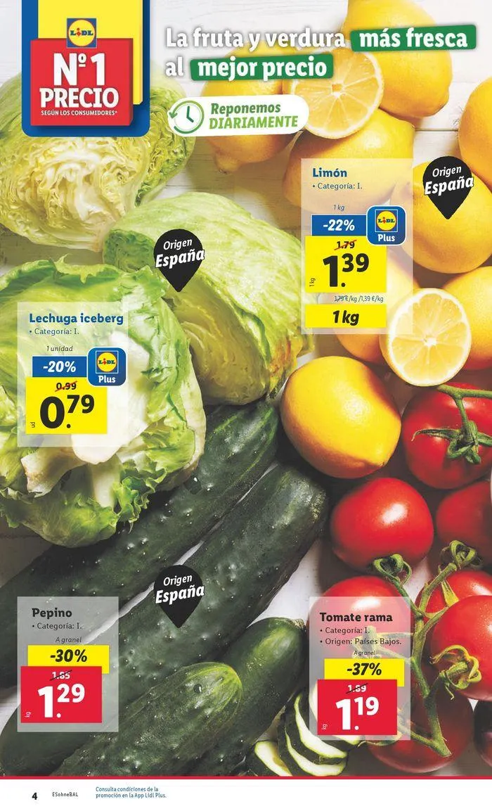 Catálogo de Bazar Lidl 17 de junio al 23 de junio 2024 - Página 22