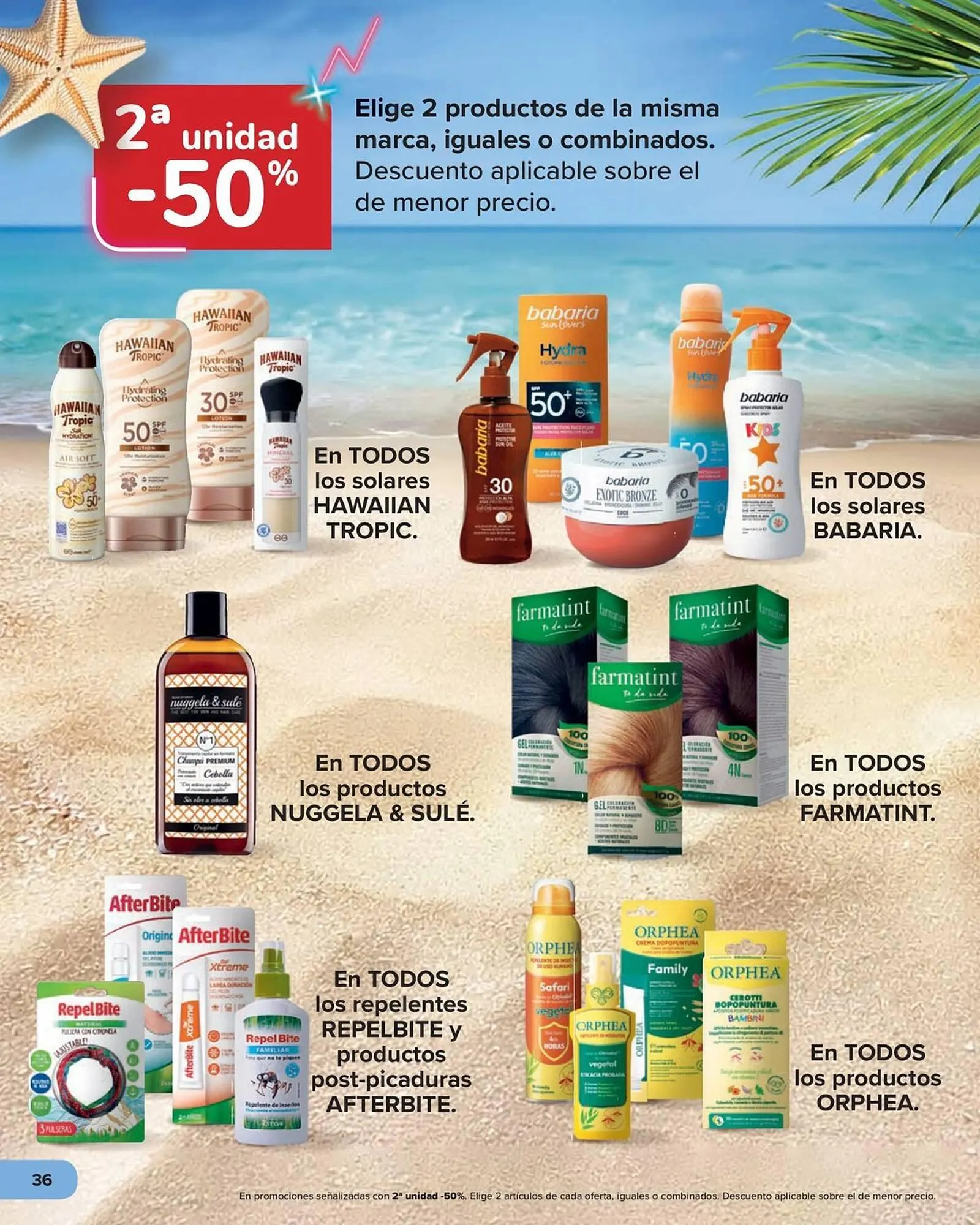 Catálogo de Folleto Carrefour 15 de mayo al 18 de junio 2026 - Página 36