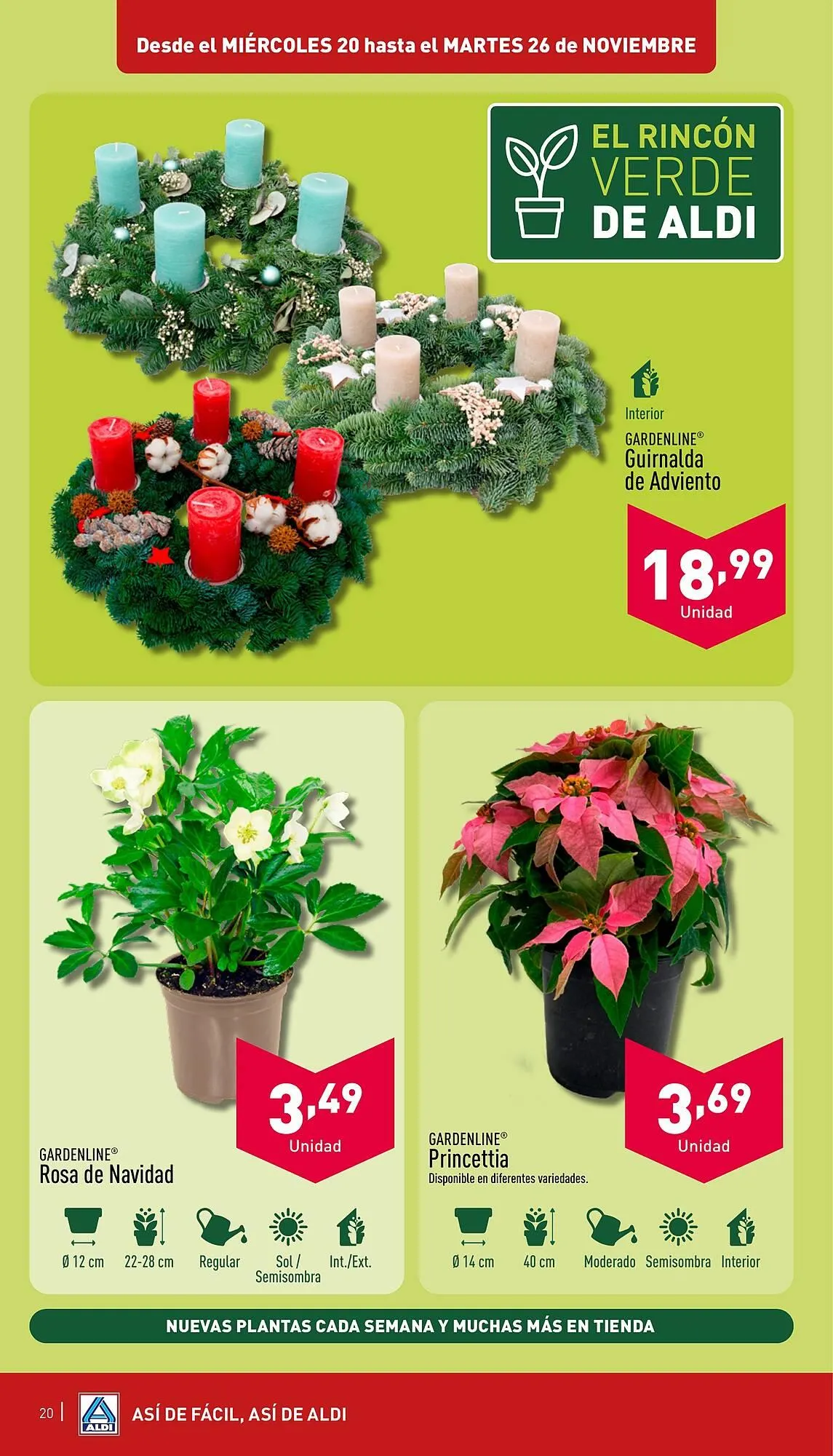 Catálogo de Folleto ALDI 20 de noviembre al 26 de noviembre 2024 - Página 20