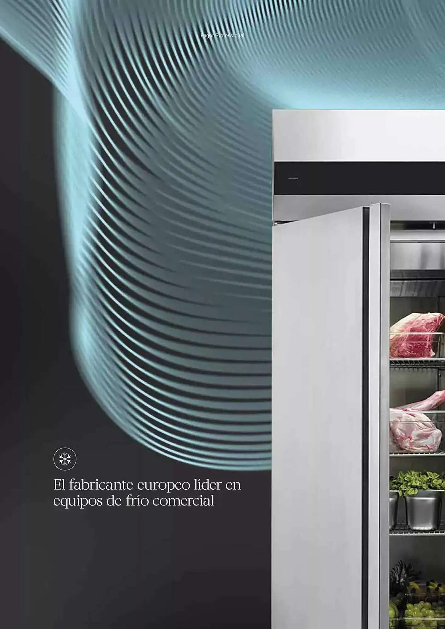 Catálogo de Folleto Fagor 3 de marzo al 1 de enero 2026 - Página 256