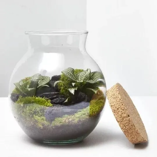 TERRARIO NATURAL HAVANNA XS D15 HA17