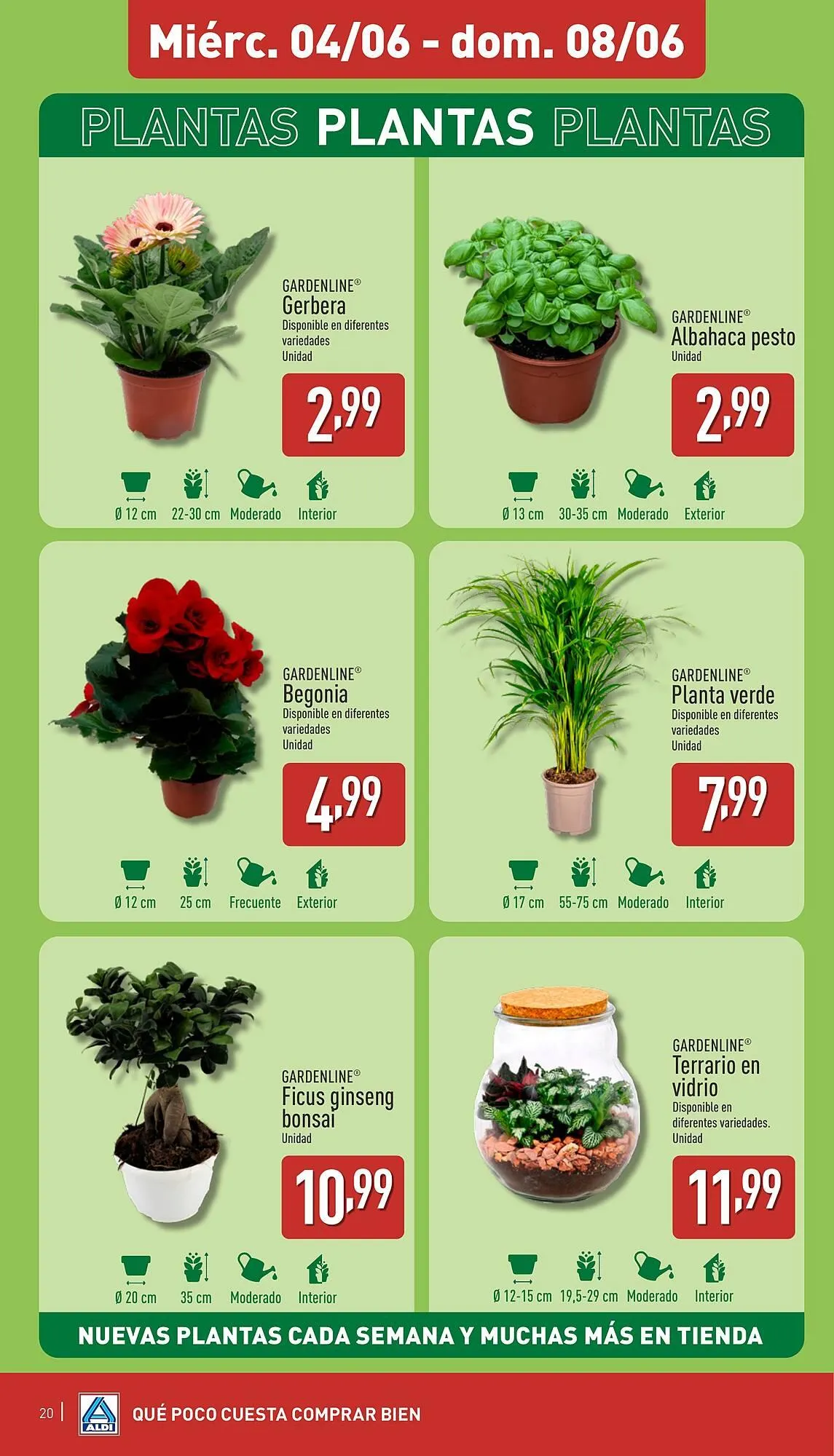 Catálogo de Folleto ALDI 2 de junio al 8 de junio 2025 - Página 20