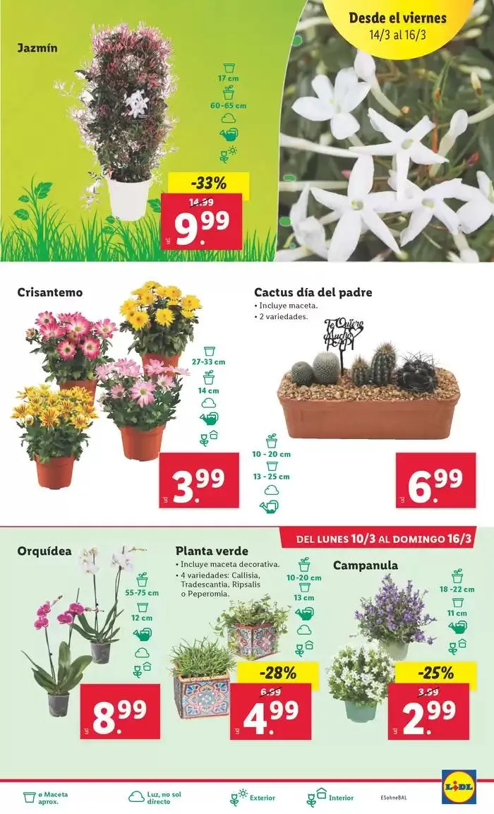 Catálogo de ¡Bazar Lidl! Ofertas válidas del 10/03 al 16/03 10 de marzo al 16 de marzo 2025 - Página 11