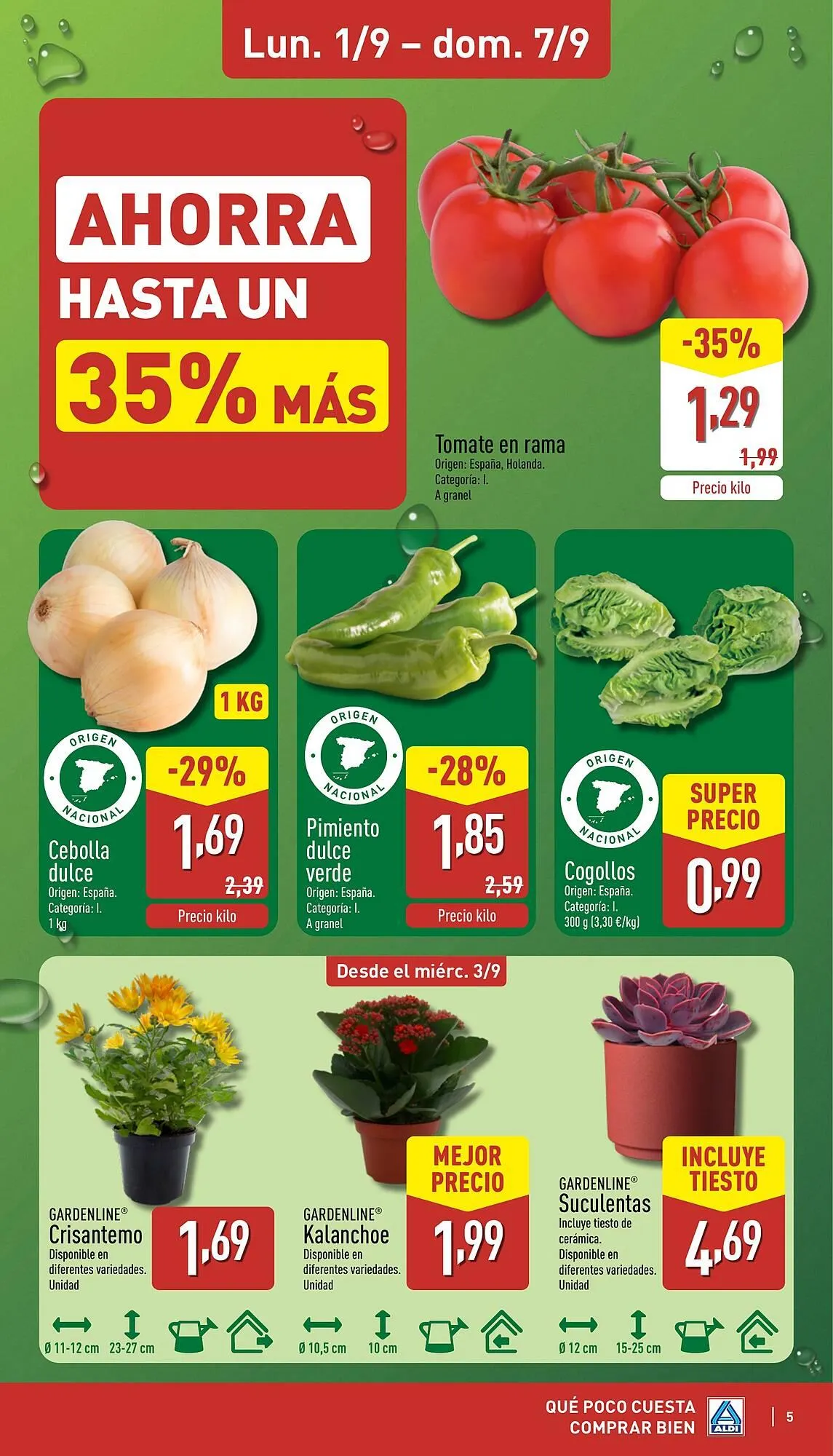Catálogo de Folleto ALDI 1 de septiembre al 7 de septiembre 2025 - Página 5
