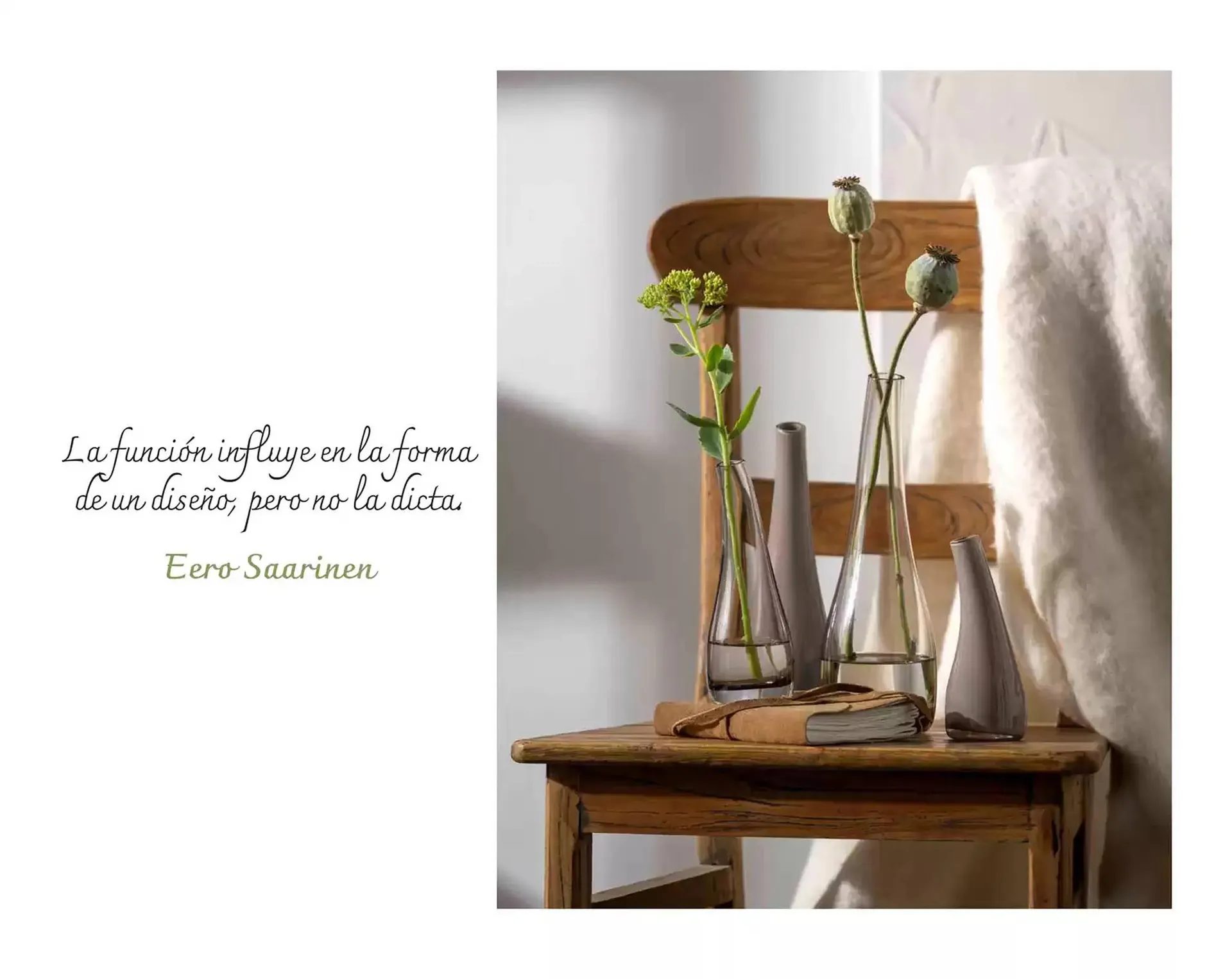 Catálogo de Folleto La Oca 19 de marzo al 31 de diciembre 2025 - Página 8