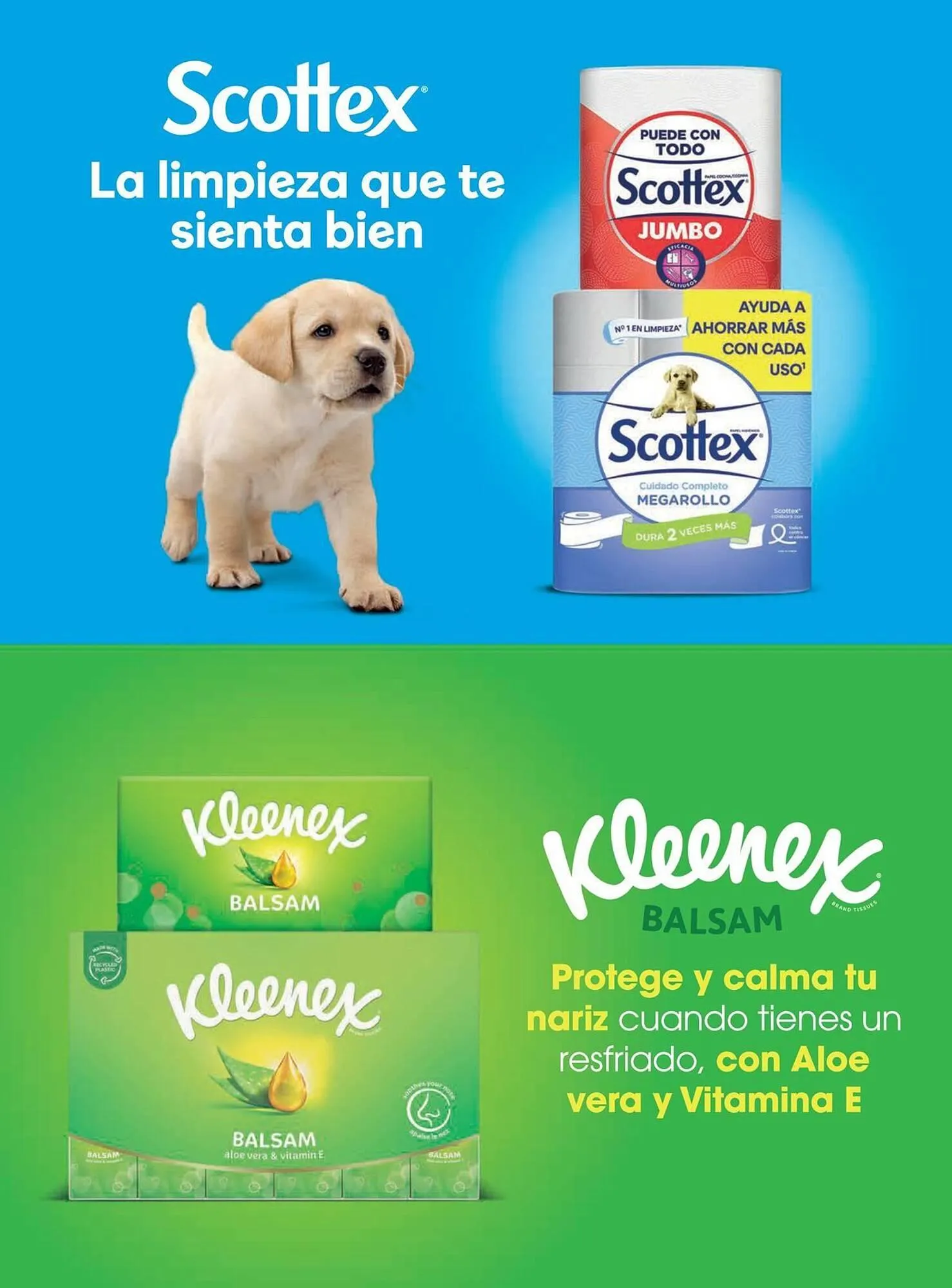 Catálogo de Catálogo Costco 6 de enero al 31 de marzo 2026 - Página 156