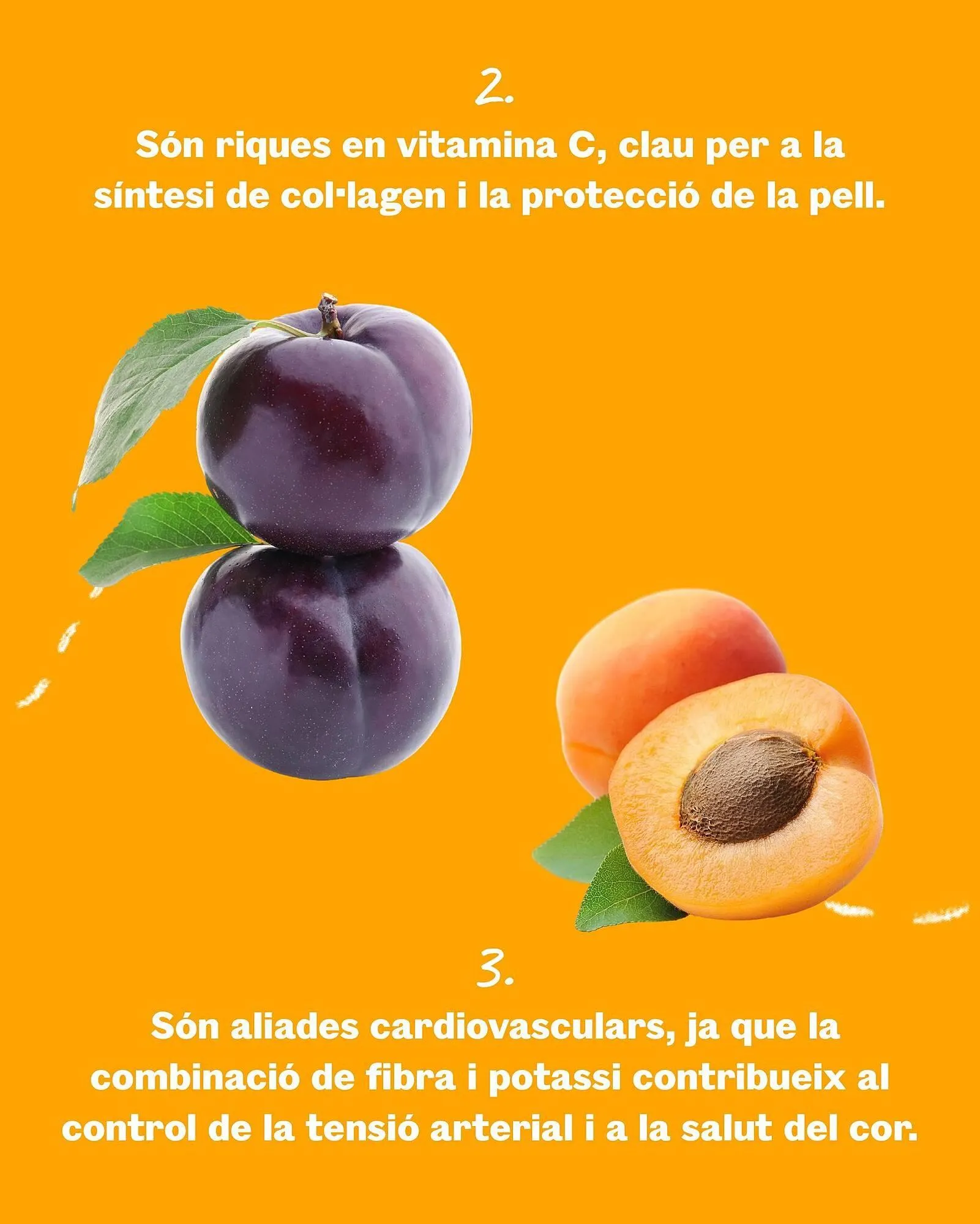 Catálogo de Folleto Sorli 21 de mayo al 29 de junio 2025 - Página 3