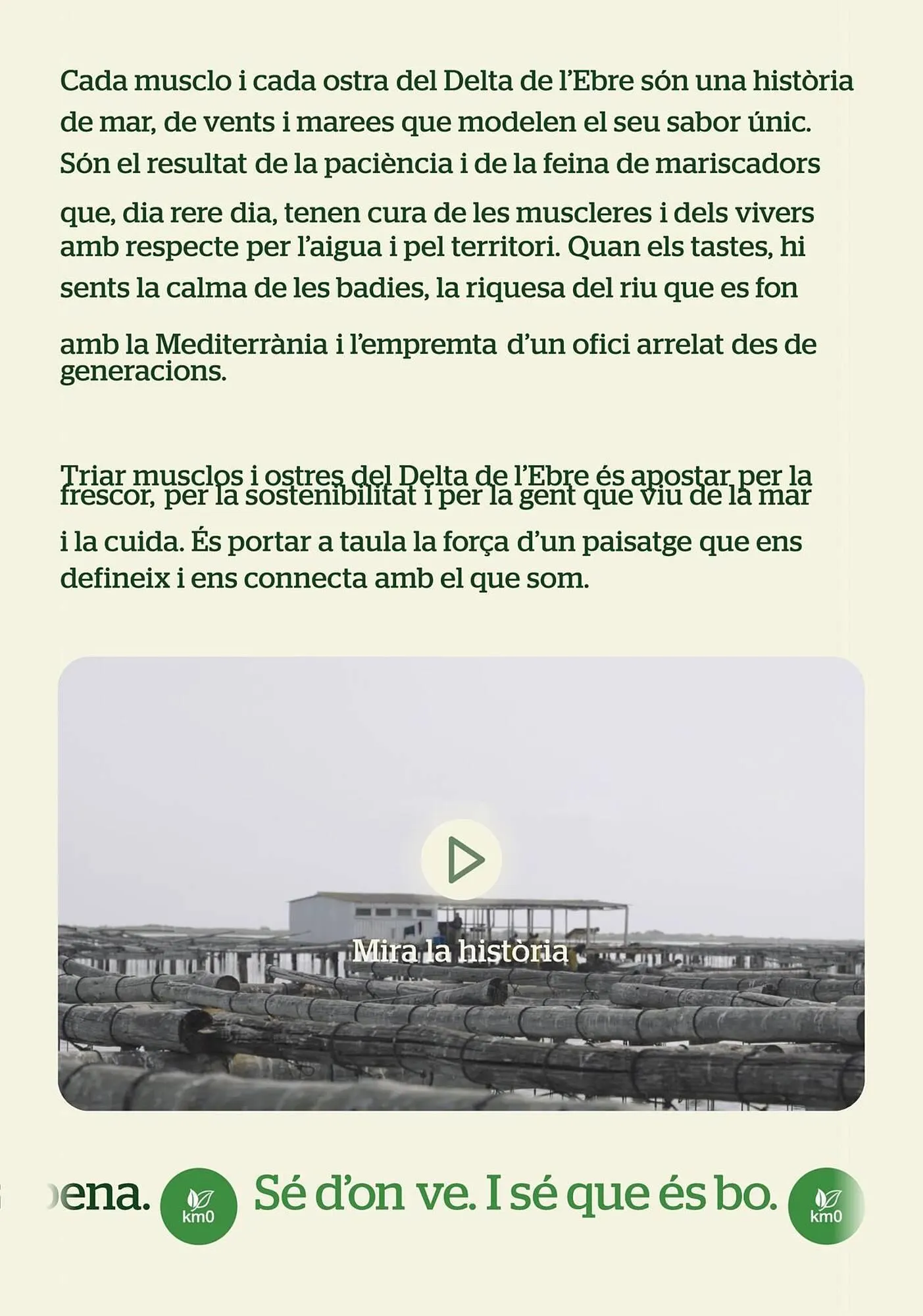 Catálogo de Folleto BonpreuEsclat 30 de enero al 30 de junio 2026 - Página 19