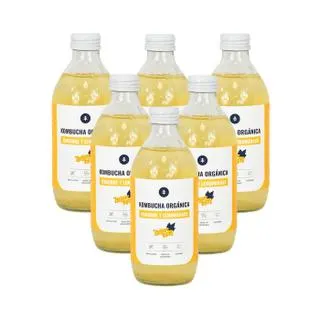 Pack 6x Kombucha ECO Jengibre y lemongrass Planeta Huerto 330 ml