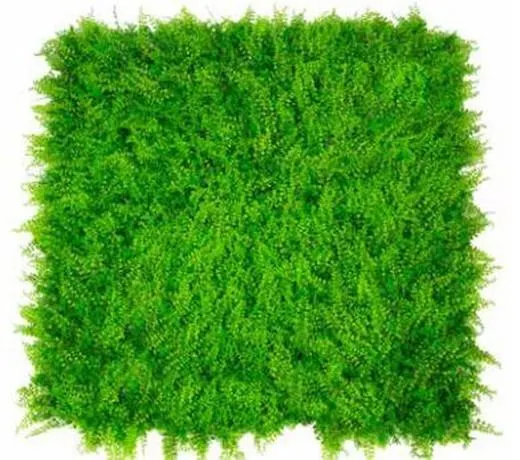 Seto Decorativo Helecho Max 100x100cm