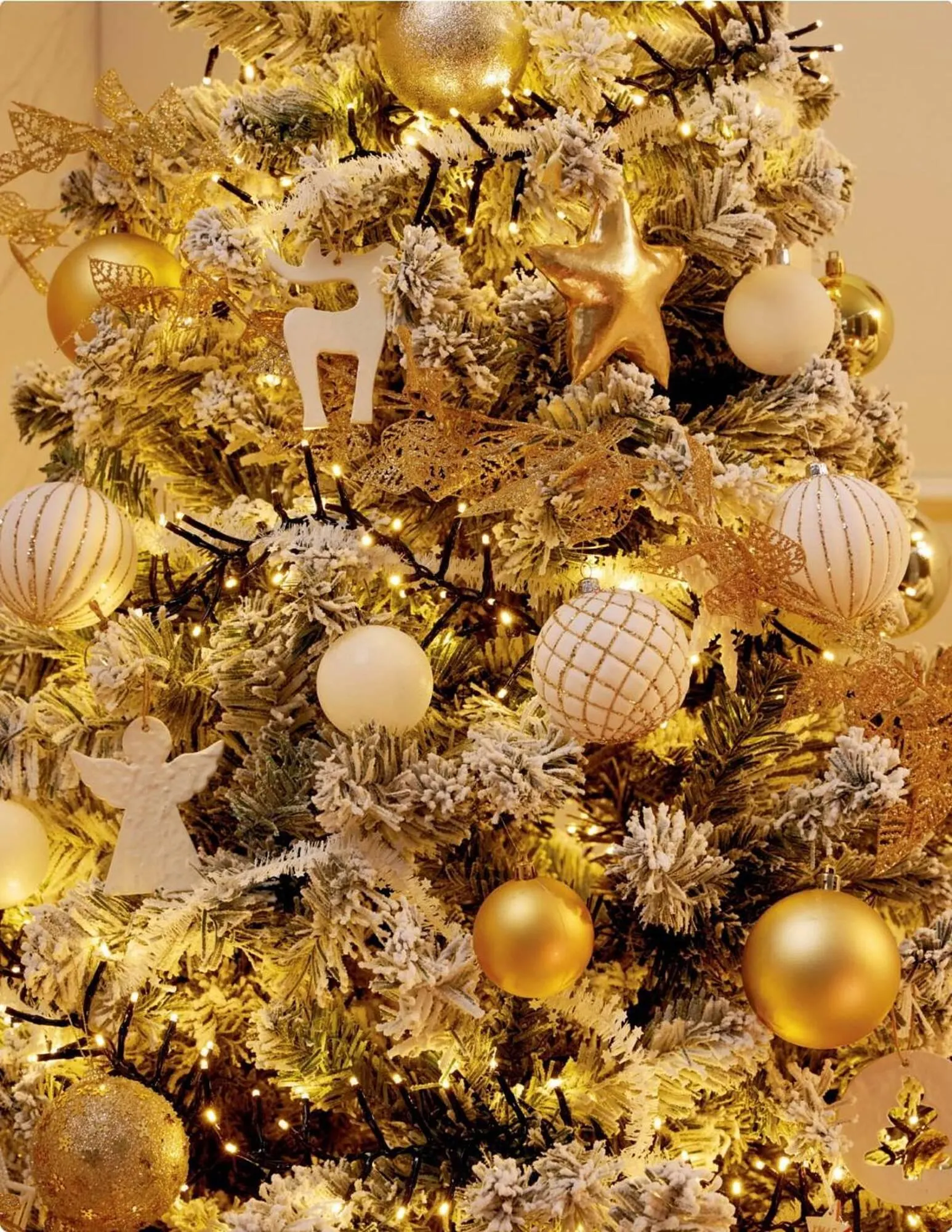 Catálogo de Catálogo Bauhaus 6 de noviembre al 31 de diciembre 2025 - Página 24