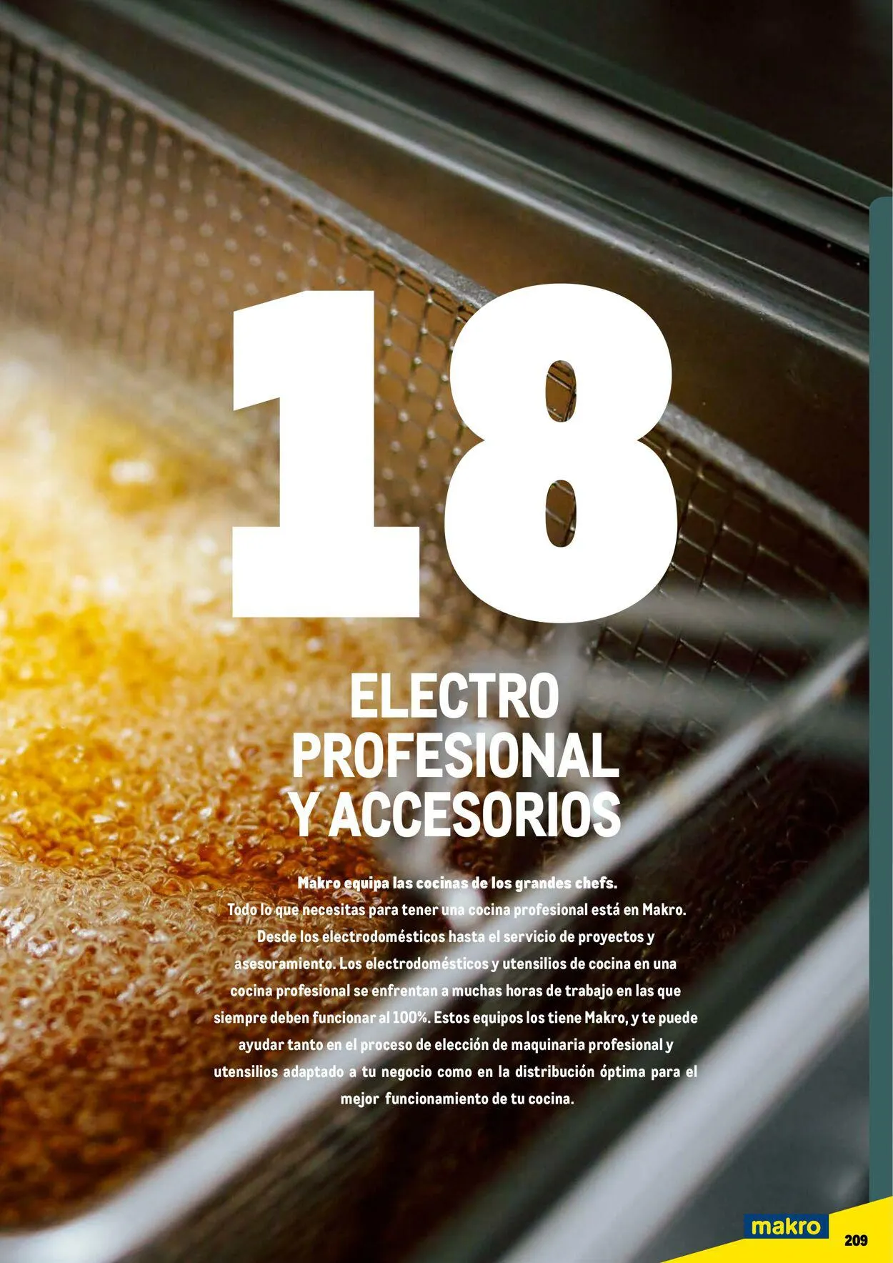 Catálogo de Makro Oferta actual 7 de julio al 31 de diciembre 2023 - Página 209