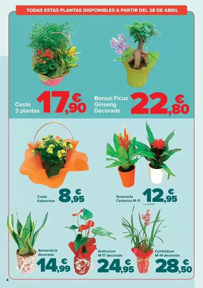 Catálogo de DIA DE LA MADRE 25 de abril al 4 de mayo 2025 - Página 4