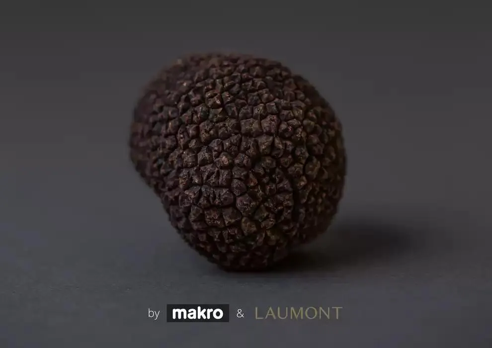 Catálogo de GUIA DE TRUFAS Y SETAS MAKRO - MAKRO 31 de diciembre al 14 de enero 2025 - Página 15