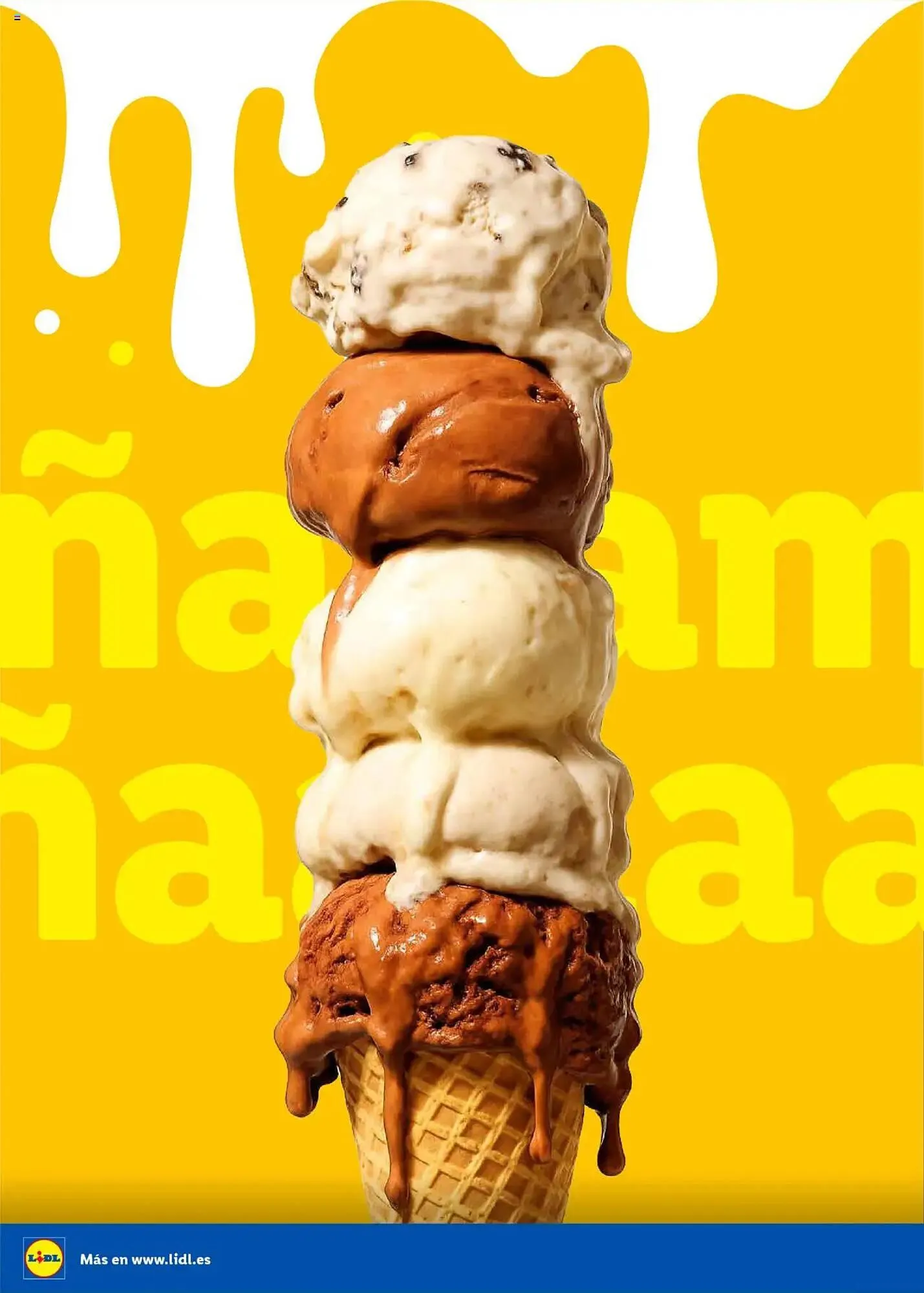 Catálogo de Folleto Lidl 23 de junio al 31 de agosto 2025 - Página 14