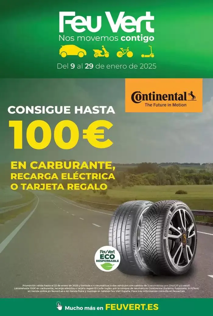 Del 9 al 29 de enero de 2025 - 1