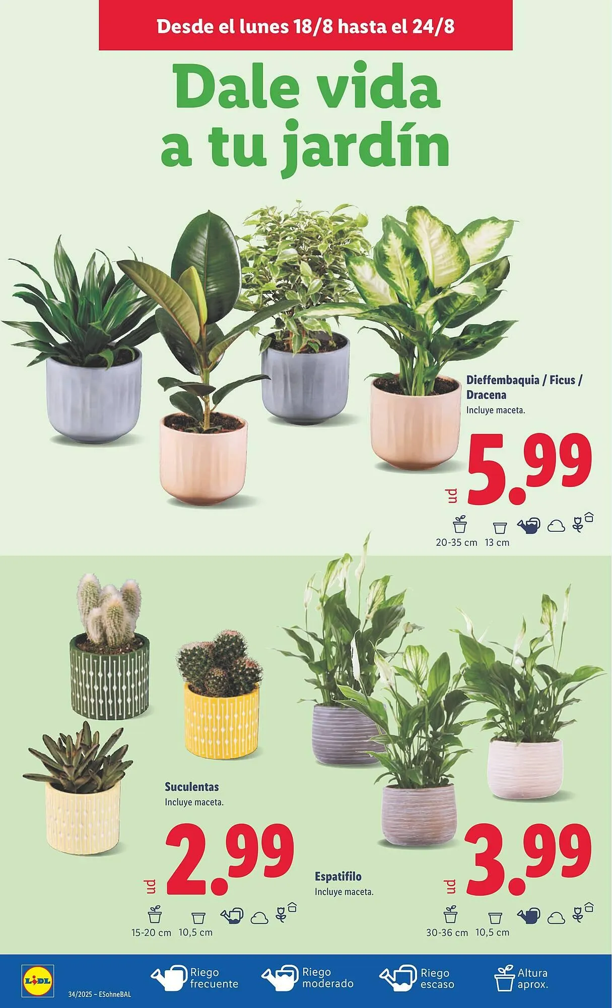 Catálogo de Folleto Lidl 18 de agosto al 24 de agosto 2025 - Página 42