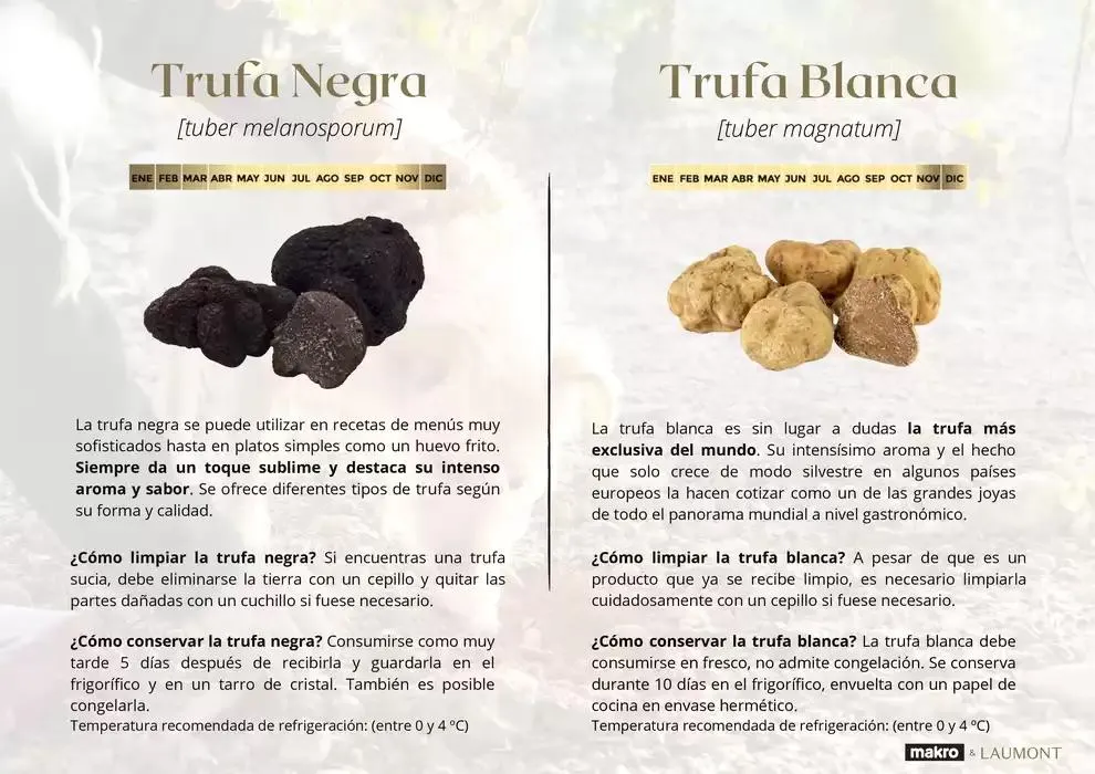 Catálogo de GUIA DE TRUFAS Y SETAS MAKRO - MAKRO 31 de diciembre al 14 de enero 2025 - Página 4