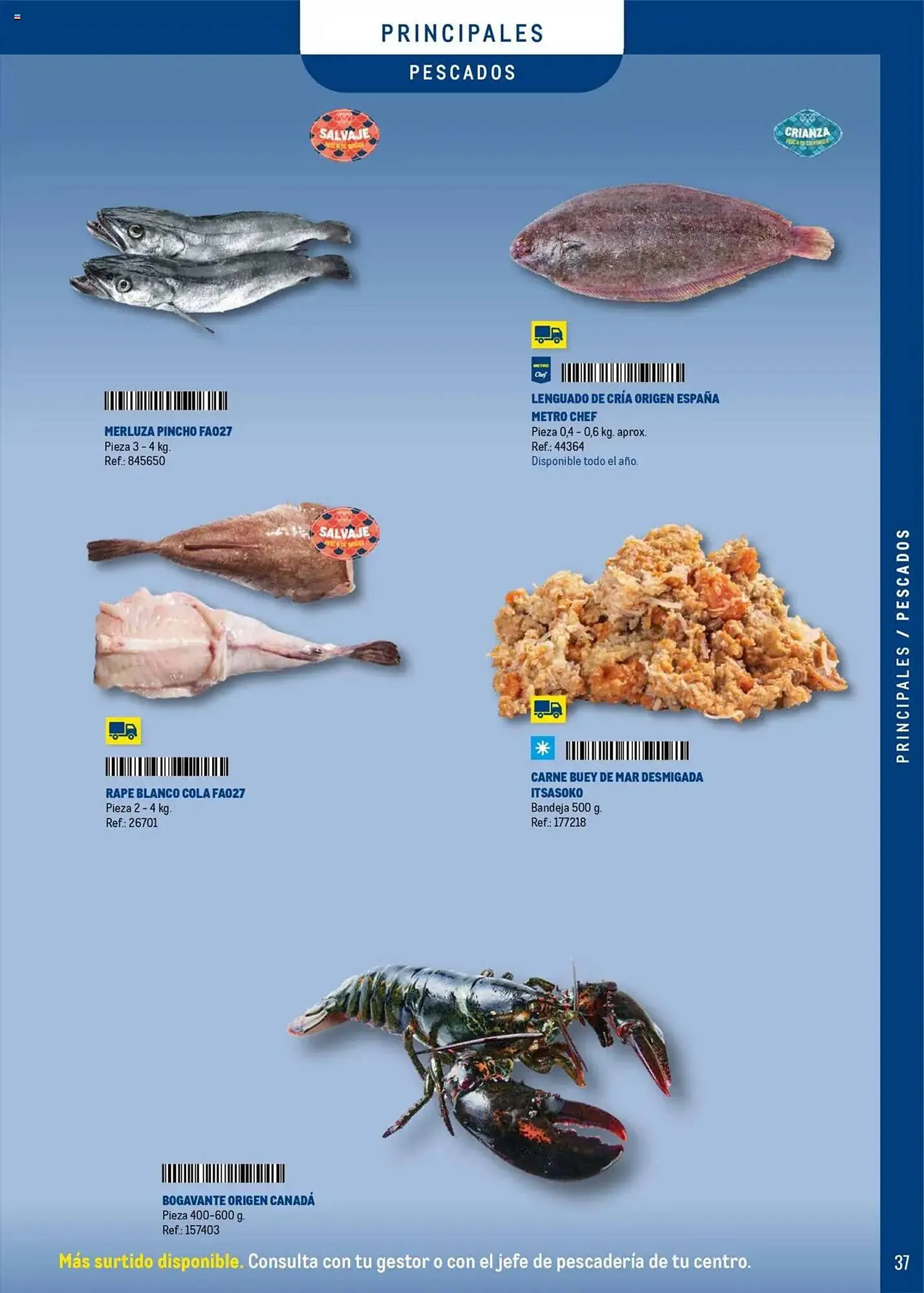 Catálogo de Folleto Makro 11 de junio al 30 de septiembre 2025 - Página 37